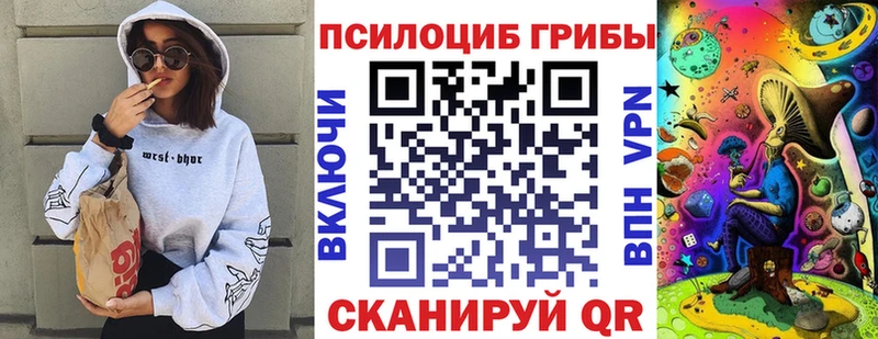 Псилоцибиновые грибы GOLDEN TEACHER  магазин продажи   Буинск 